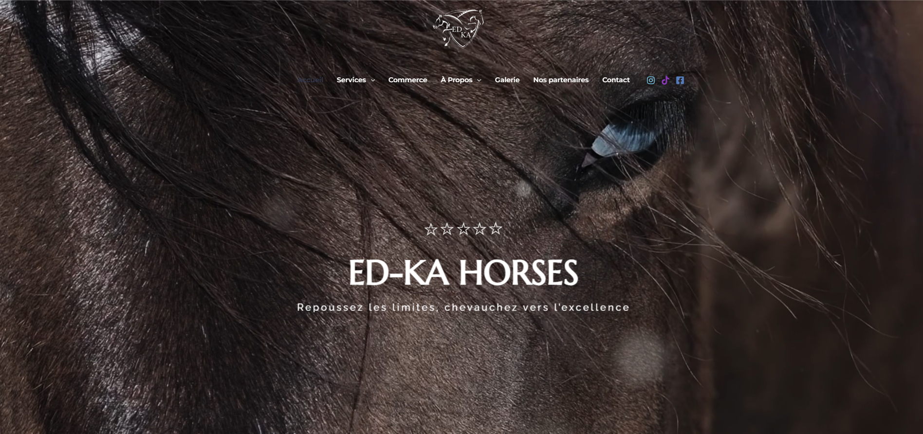 ED-KA Horses — Sion